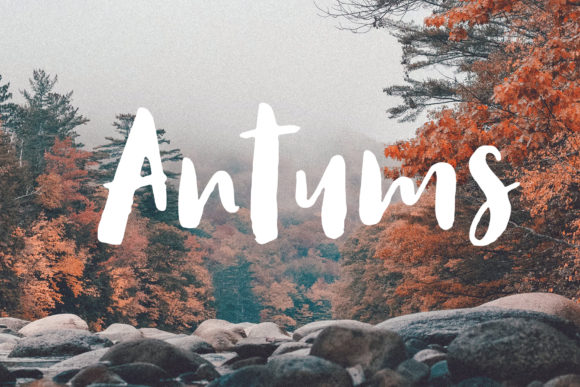 Antums Font: A Hand-Drawn Brush Typeface for Branding