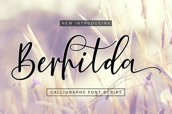 Berhilda: A Designer’s Review for Real Projects