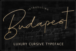 Budapest Family Font: A Web Designer’s Layout Review