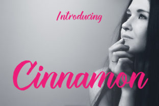 Cinnamon Font Review: Elegant Script for Feminine Branding