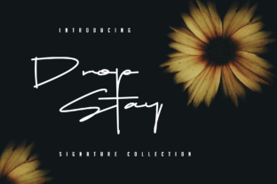 Drop Stay Font: Elevating Small Business Branding