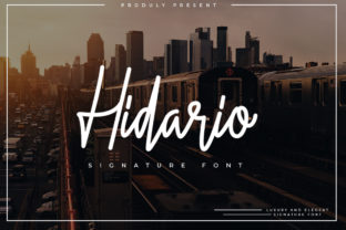 Hidario Font: Elevating Digital Brand Visuals