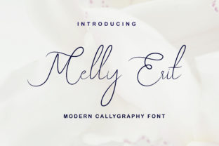 Melly Eret Font: Elevating Digital Brand Identity