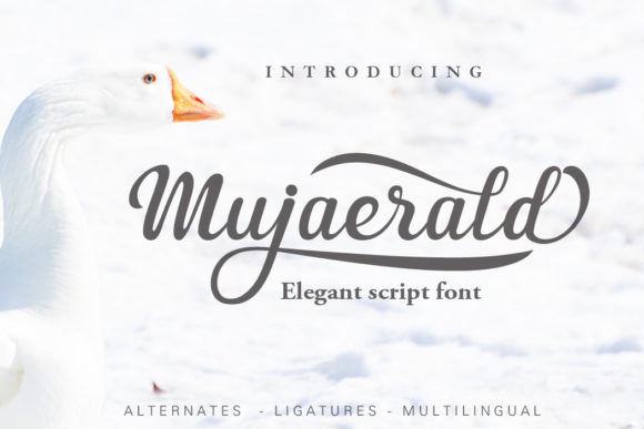 Mujaerald Font: Elevating Digital Brand Identity