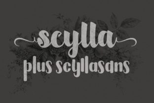 Scylla Font: Elevating Campaign Visuals with Bold Script