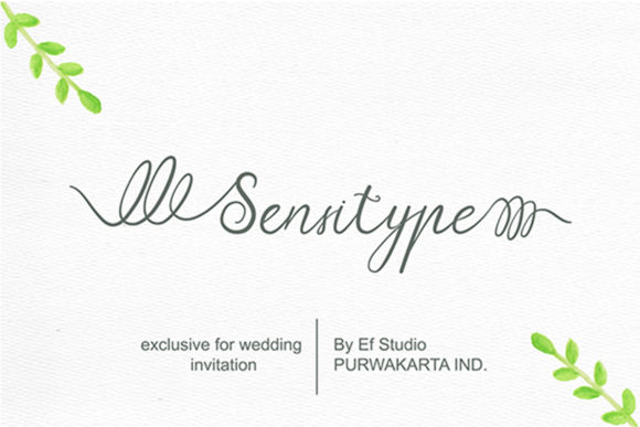 Sensitype Font: Elevating Campaign Visuals with Script
